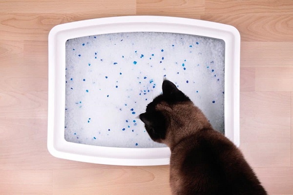 how to use crystal cat litter