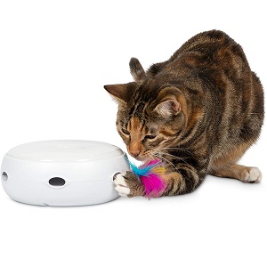 Petfusion Interactive Electronic Cat Toy