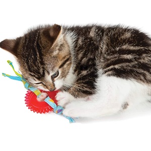 petstages catnip dental health cat toys