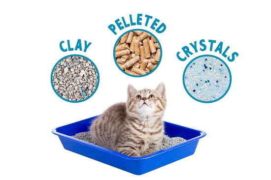 the right cat litter