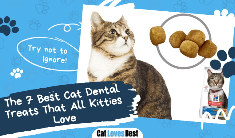 Best Cat Dental Treats