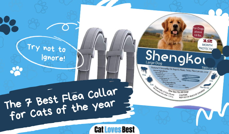 Best Flea Collar for Cats