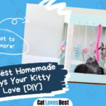 Best Homemade Cat Toys