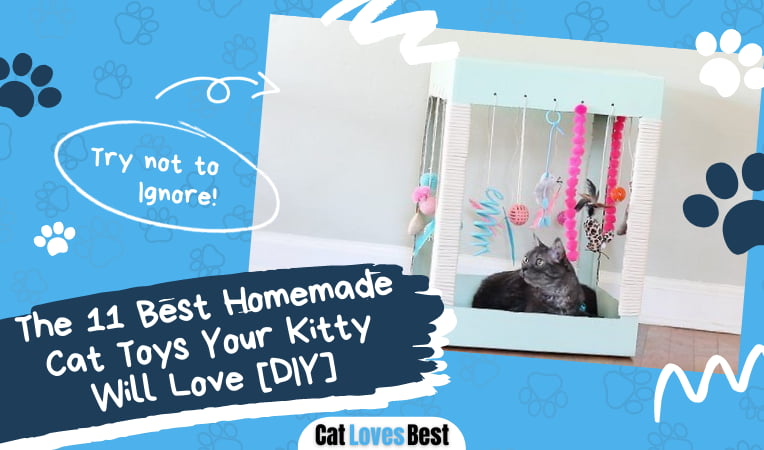 Best Homemade Cat Toys