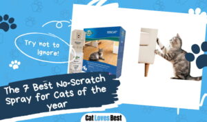 Best No-Scratch Spray for Cats