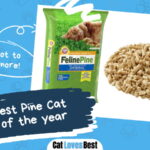 Best Pine Cat Litters