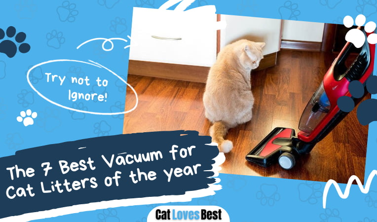 Best Vacuum for Cat Litter