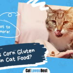 Corn Gluten Meal in Cat Food