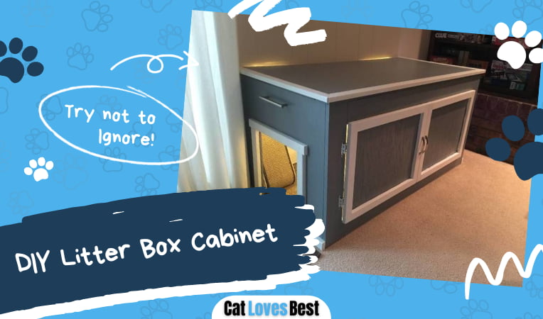 DIY Litter Box Cabinet