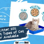 Different Types of Cat Litter