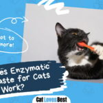 Enzymatic Toothpaste for Cats