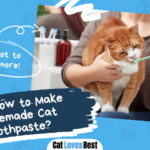 Homemade Cat Toothpaste