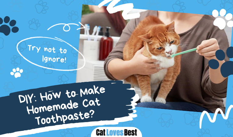 Homemade Cat Toothpaste