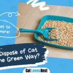How to Dispose of Cat Litter the Green Way