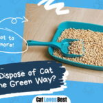 How to Dispose of Cat Litter the Green Way