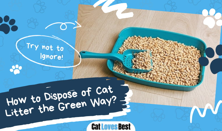 How to Dispose of Cat Litter the Green Way