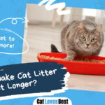 Make Cat Litter Last Longer
