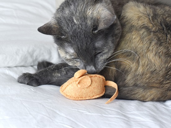 diy mouse toys for cats