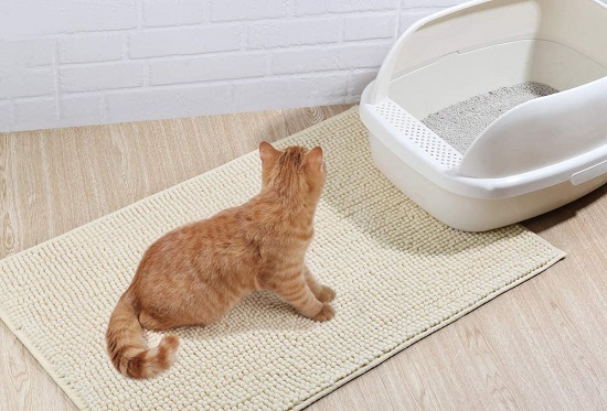 dog-proof plastic storage litter box