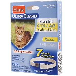 hartz ultraguard collar for kittens