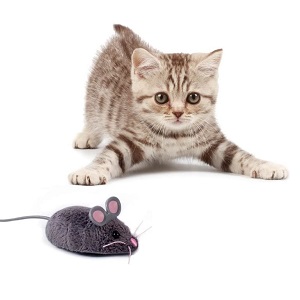 hexbug mouse robotic cat toy