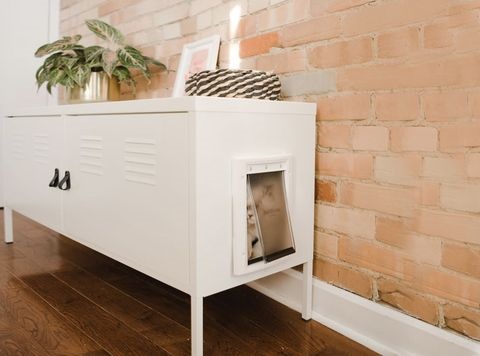 hidden litter box furniture