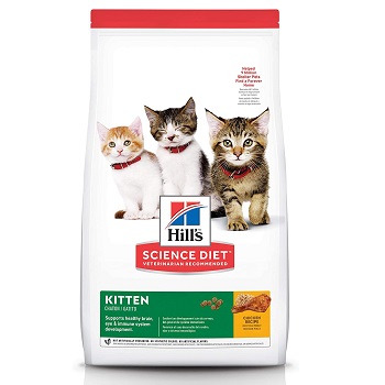 hills cat and kitten food