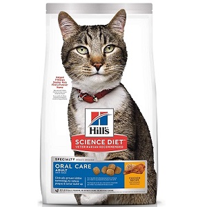 hills science cat dental dry food