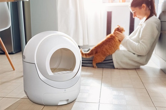 igloo cat litter box