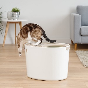 Iris Top Entry Elevated Dog Proof Litter Box