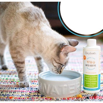 oxyfresh premium pet dental care solution