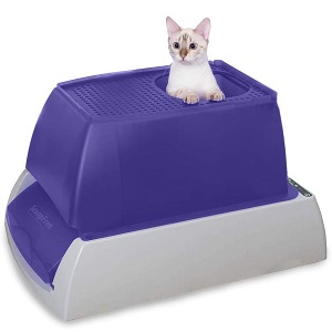 PetSafe ScoopFree Dog-Proof Litter Box