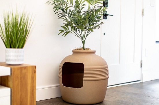 place litter box in quiet room