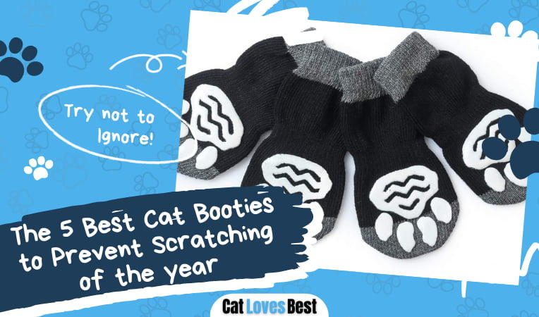 Best Cat Booties