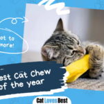 Best Cat Chew Toys