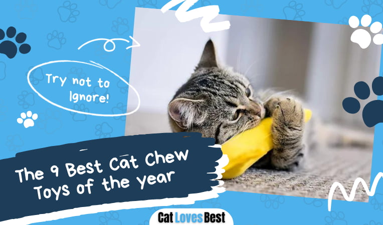 Best Cat Chew Toys