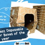 Best Disposable Cat Litter Box