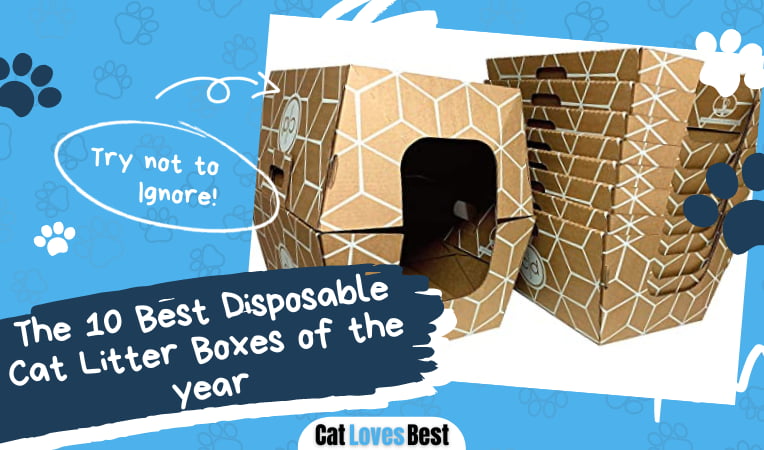 Best Disposable Cat Litter Box