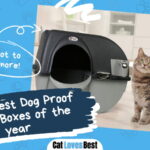 Best Dog Proof Litter Boxes