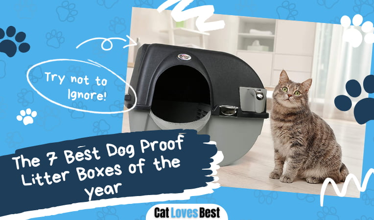 Best Dog Proof Litter Boxes