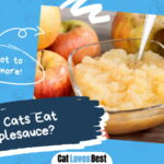 Can Cats Eat Applesauce