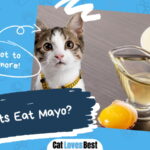 Can Cats Eat Mayo