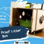 DIY Dog Proof Litter Box