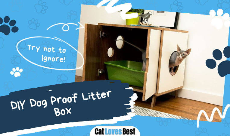 DIY Dog Proof Litter Box