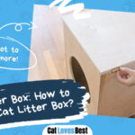 DIY How to Make a Cat Litter Box