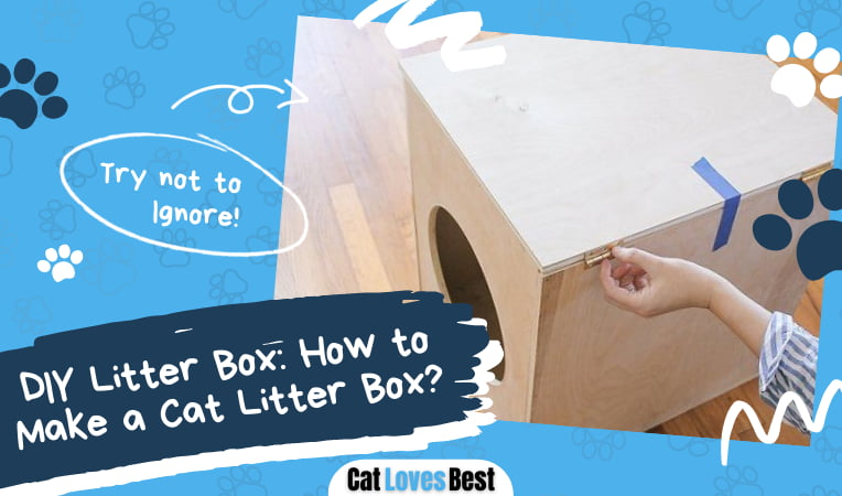 DIY How to Make a Cat Litter Box