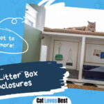 DIY Litter Box Enclosures