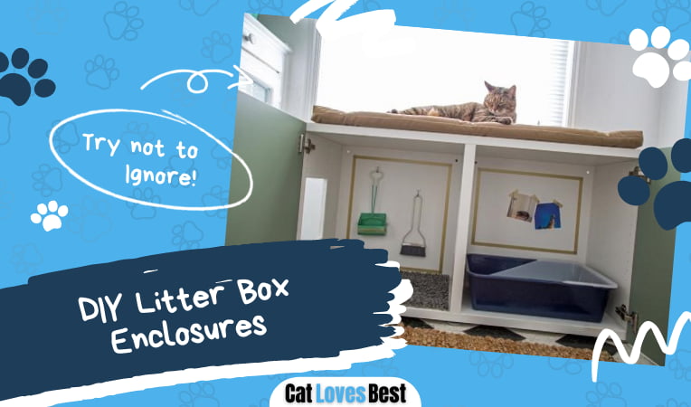 DIY Litter Box Enclosures