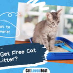 How to Get Free Cat Litter