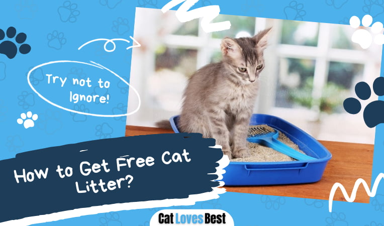 How to Get Free Cat Litter